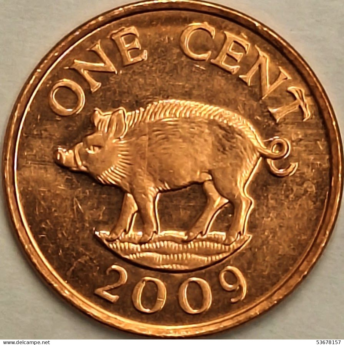 Bermuda - Cent 2009, KM# 107a (#3230) - Bermuda