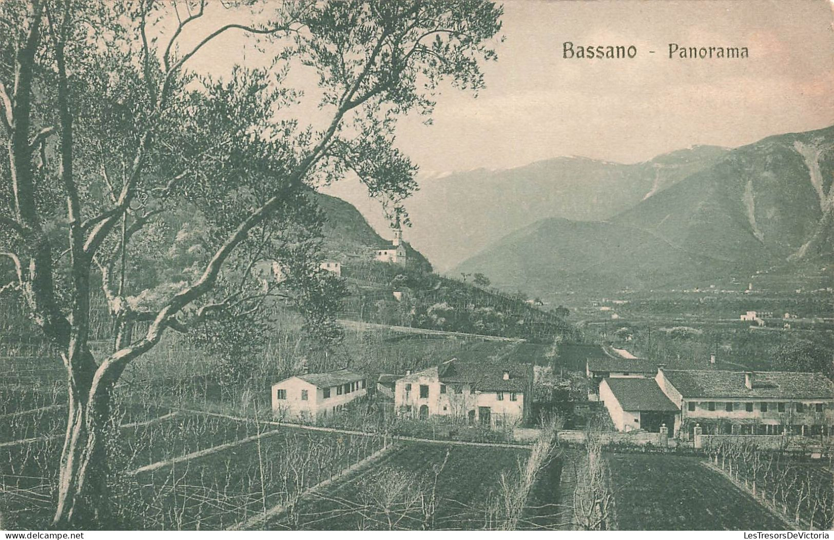 ITALIE - Bassano - Panorama - Vignoble  - Carte Postale Ancienne - Otros & Sin Clasificación