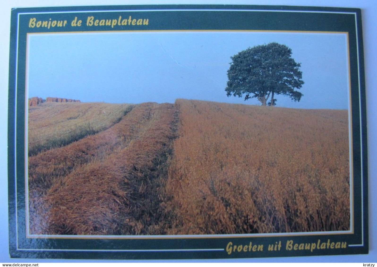 BELGIQUE - LUXEMBOURG - SAINTE-ODE - TILLET - Domaine De Beauplateau - Sainte-Ode