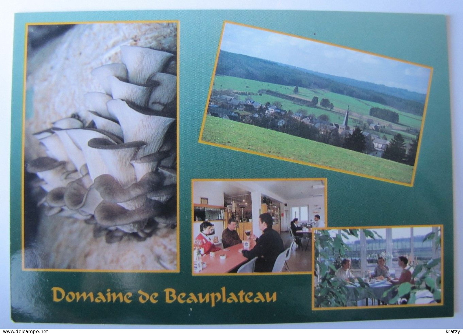 BELGIQUE - LUXEMBOURG - SAINTE-ODE - TILLET - Domaine De Beauplateau - Sainte-Ode