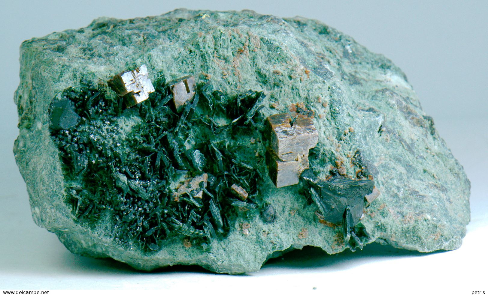 Mineral - Perowskite Con Clorite E Magnetite ( Rocca Sella, Val Di Susa, Torino, Italia) - Lot, 1136 - Minerales