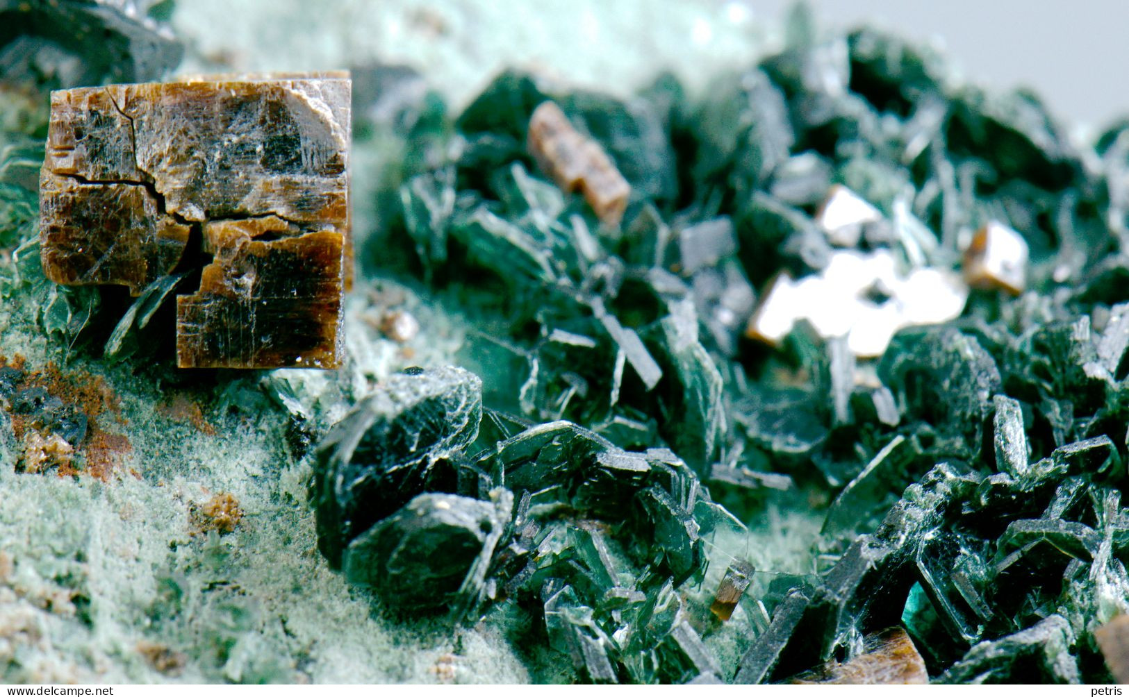 Mineral - Perowskite Con Clorite E Magnetite ( Rocca Sella, Val Di Susa, Torino, Italia) - Lot, 1136 - Minéraux