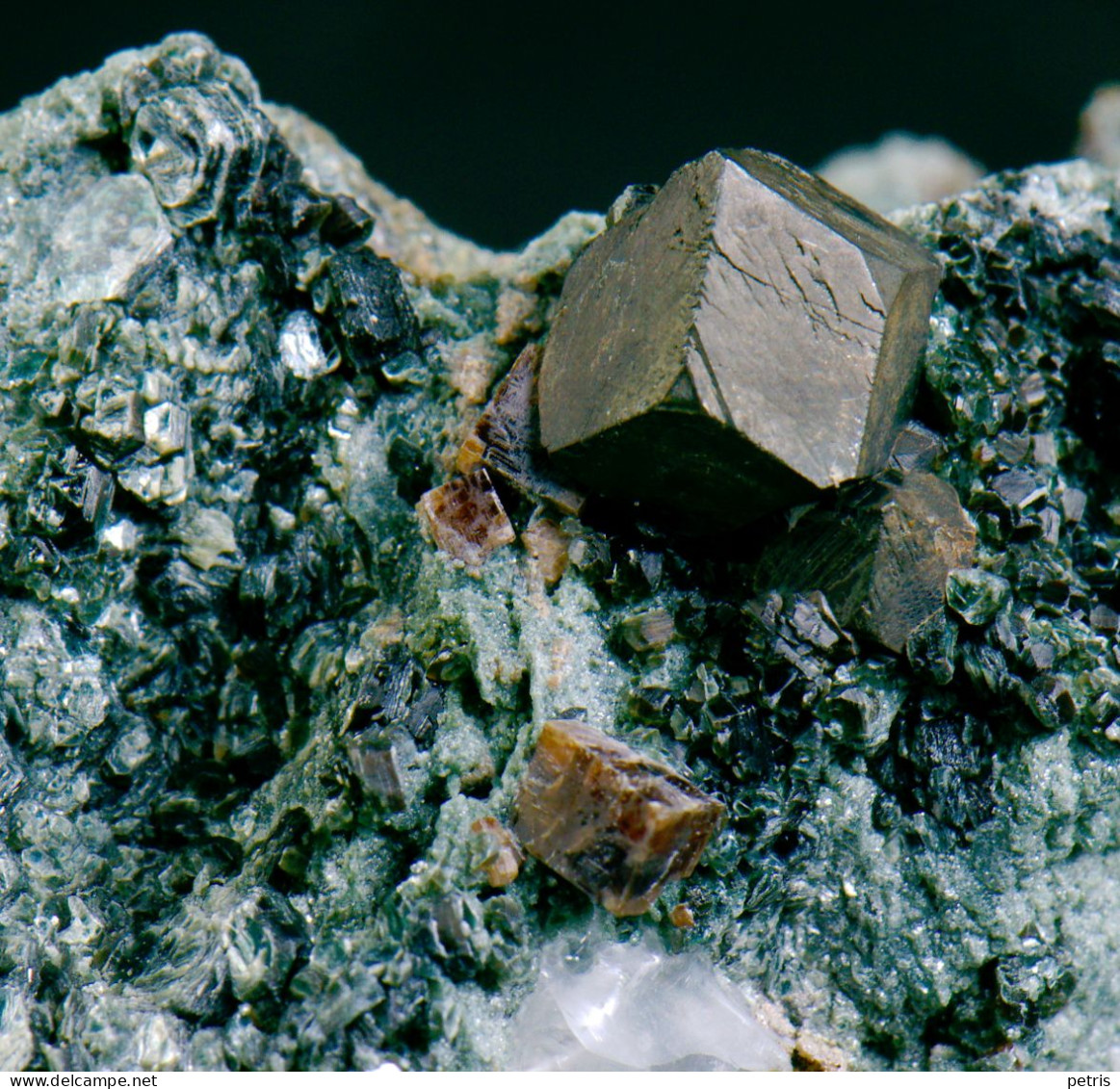 Mineral - Magnetite, Perowskite E Clorite ( Rocca Sella, Val Di Susa, Torino, Italia) - Lot, 1137 - Minerales
