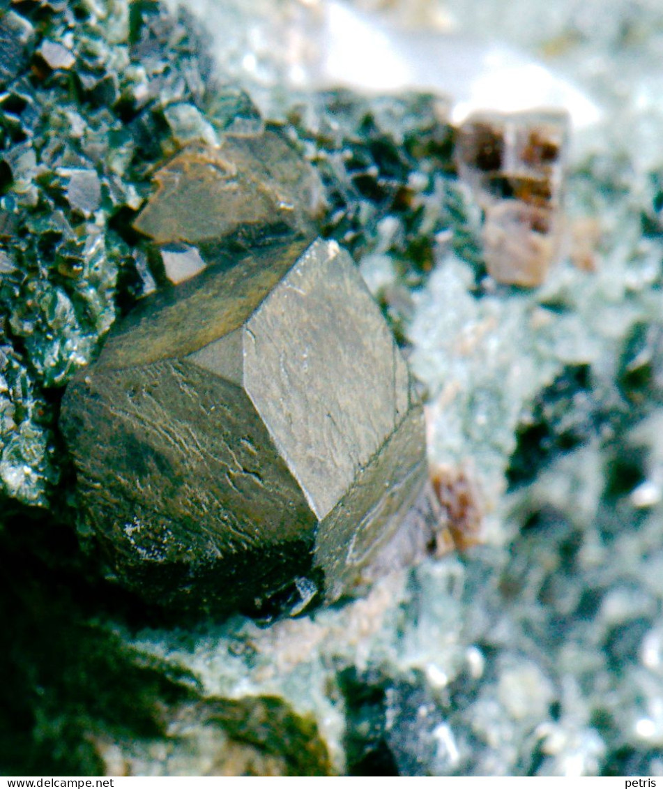 Mineral - Magnetite, Perowskite E Clorite ( Rocca Sella, Val Di Susa, Torino, Italia) - Lot, 1137 - Minéraux