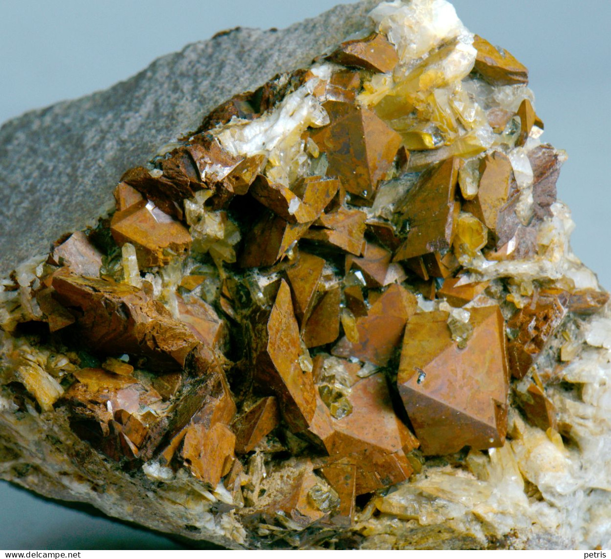 Mineral - Siderite (Vorno, Capannori, Lucca, Toscana, Italia) - Lot.1140 - Minerali