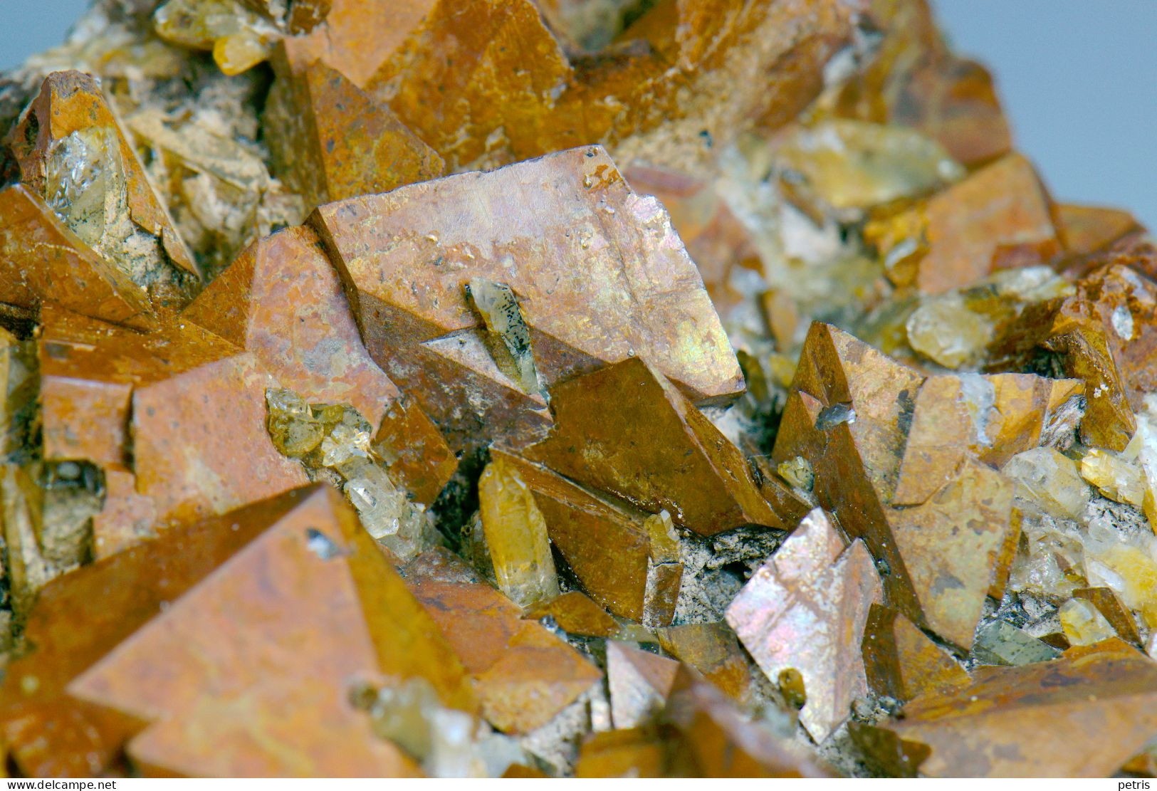 Mineral - Siderite (Vorno, Capannori, Lucca, Toscana, Italia) - Lot.1140 - Minerali
