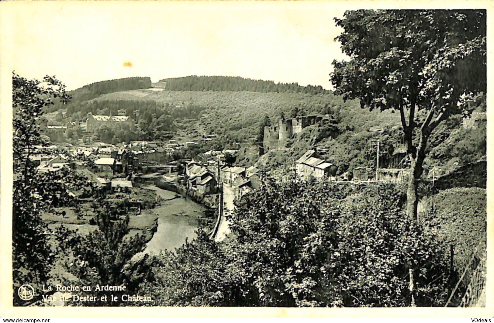 Belgique - Luxembourg - La-Roche-en-Ardenne - Vue De Dester Et Le Château - La-Roche-en-Ardenne