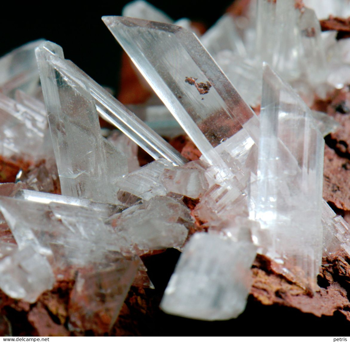 Mineral - Gesso Su Limonite (Cavnic, Maramures, Romania) - Lot.1147 - Minerali