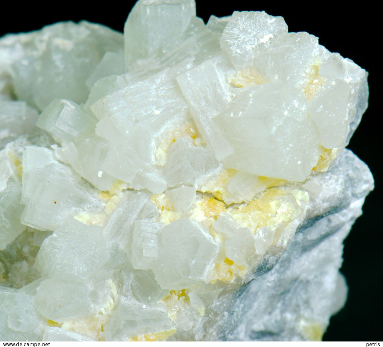 Mineral - Aragonite Con Zolfo (miniera Floristella, Caltanisetta, Sicilia, Italia) - Lot.1150 - Mineralien