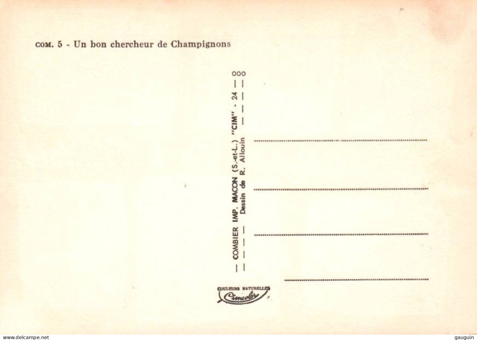 CPM - Illustration R.ALLOUIN - Thème Cueillette CHAMPIGNONS - Edition Combier - Mushrooms