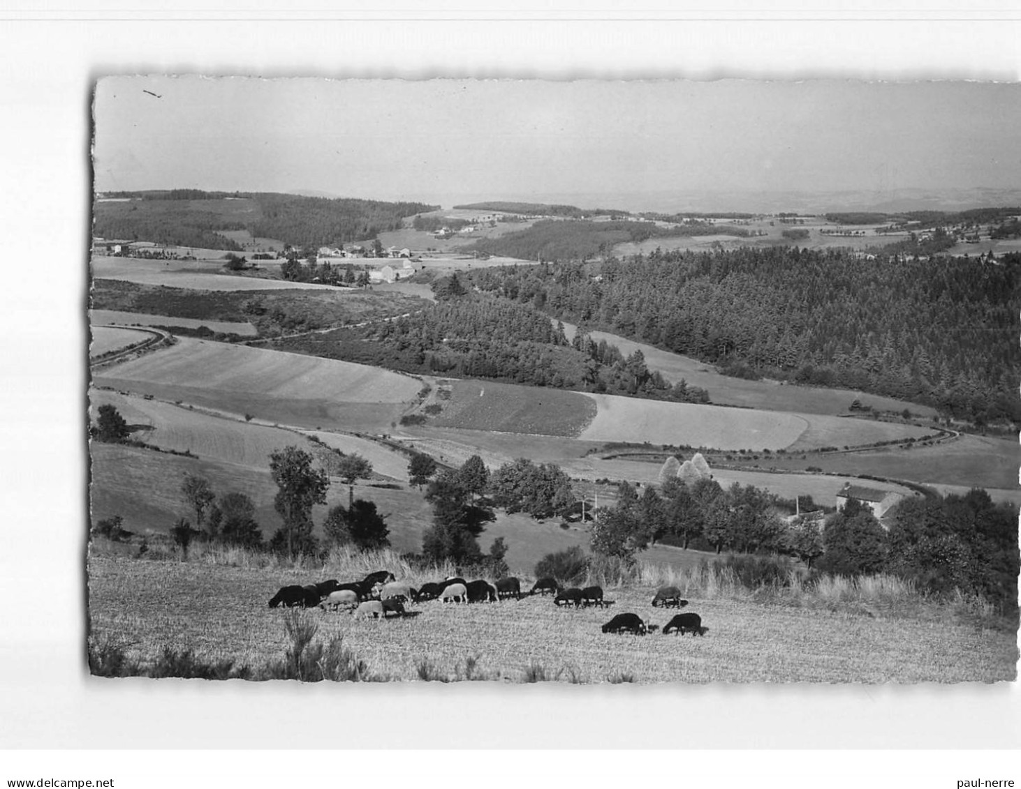 ST DIDIER EN VELAY : Cure D'Air Renommée, Route Du Creuzet - Très Bon état - Saint Didier En Velay