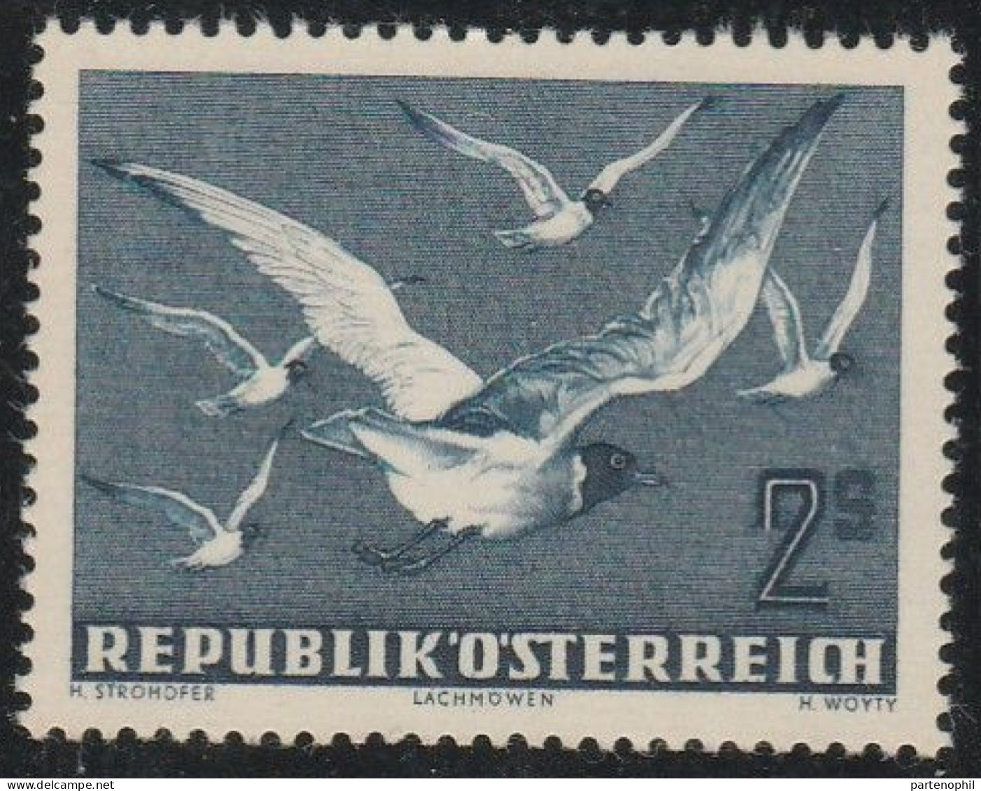 Austria - 1950 - Gabbiani, Bird 2s. N. A56. MNH - Ongebruikt