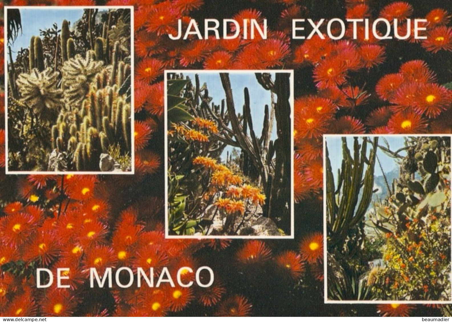 Monaco Le Jardin Exotique - Exotische Tuin