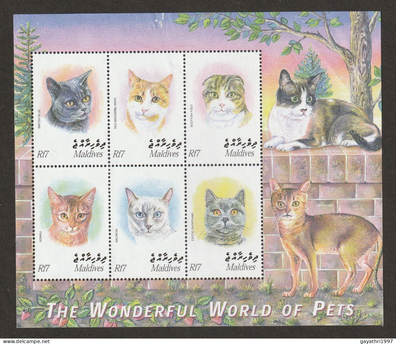 Maldives The Wonderful World Of Pets Cats Miniature Sheet Mint Good Condition (S-50) - Marionetas