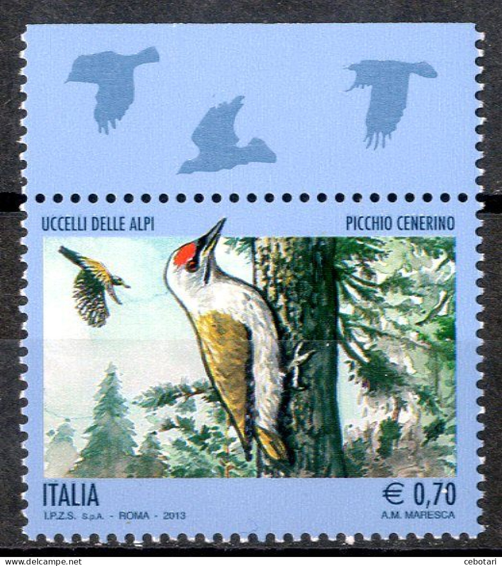 ITALIA / ITALIA 2013** - Uccelli Delle Alpi - "Picchio Cenerino" - 1 Val. MNH. - Piciformes (pájaros Carpinteros)