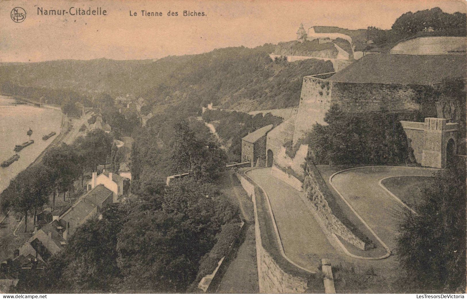 BELGIQUE - Namur-Citadelle - La Tienne Des Biches - Carte Postale Ancienne - Namur