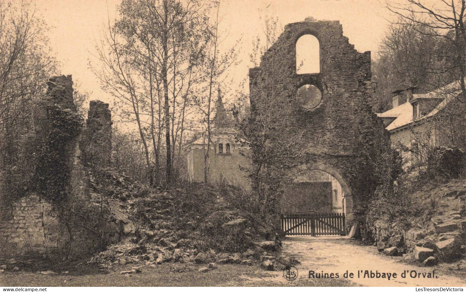 BELGIQUE - Florenville - Ruines De L'Abbaye D'Orval - Carte Postale Ancienne - Florenville