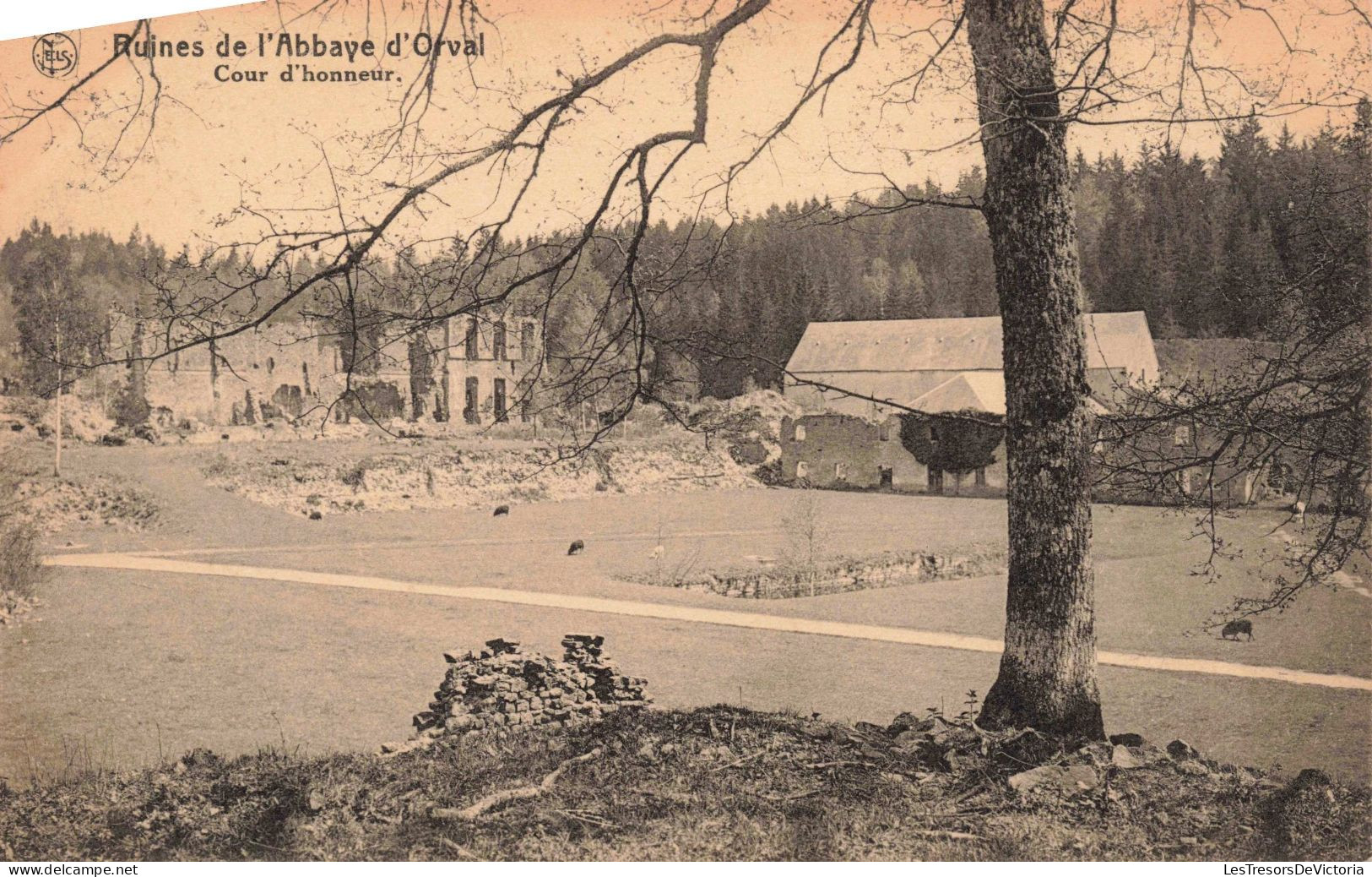 BELGIQUE - Florenville - Ruines De L'Abbaye D'Orval - Cour D'Honneur - Carte Postale Ancienne - Florenville