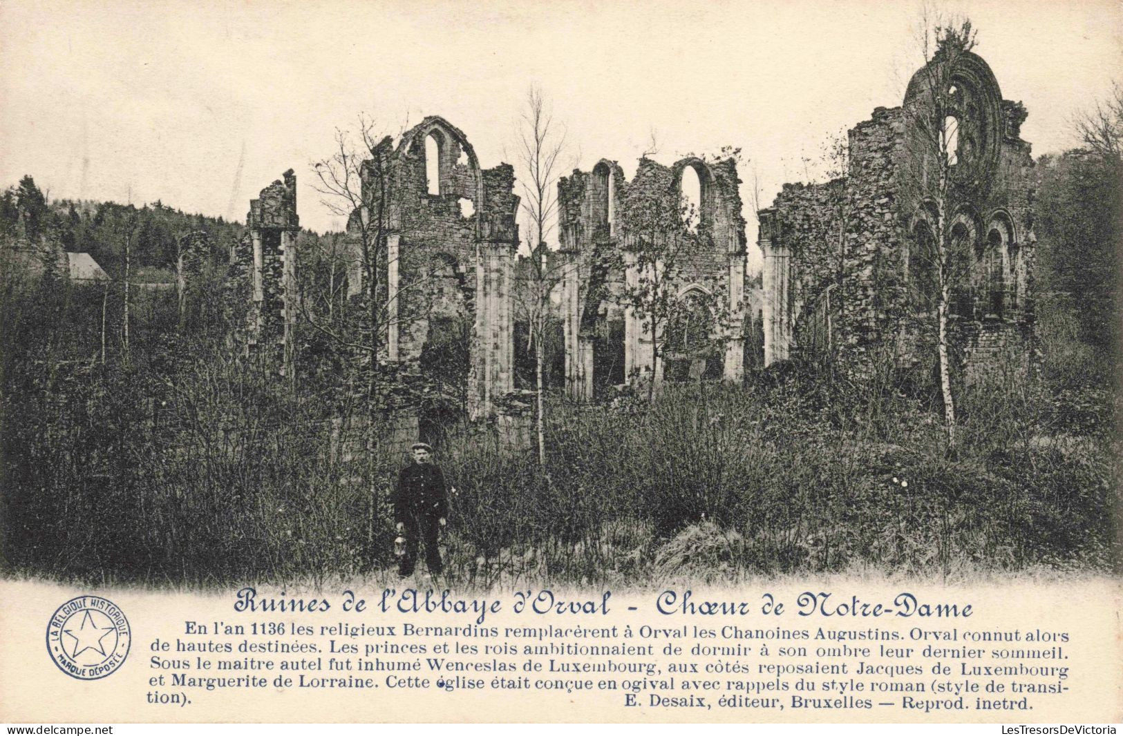 BELGIQUE - Florenville - Ruines De L'Abbaye D'Orval - Chœur De Notre-Dame - Carte Postale Ancienne - Florenville