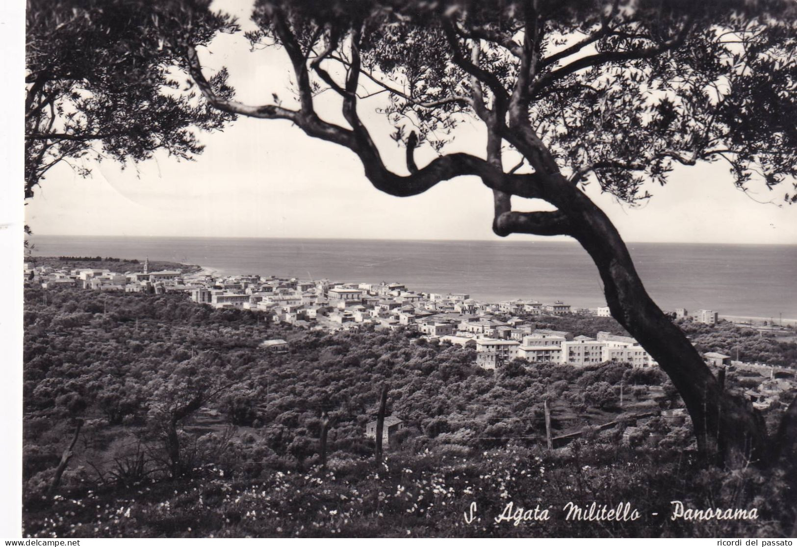 Cartolina S.agata Di Militello ( Messina ) Panorama - Bagheria