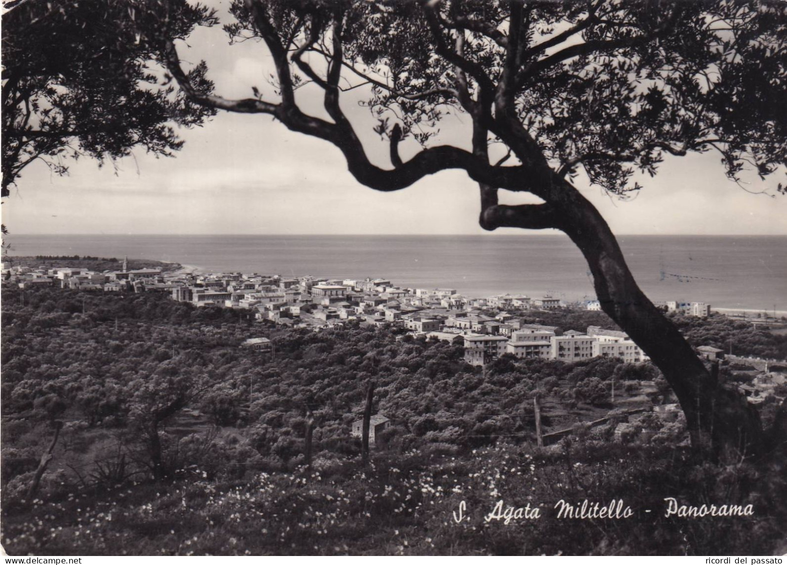 Cartolina S.agata Di Militello ( Messina ) Panorama - Bagheria