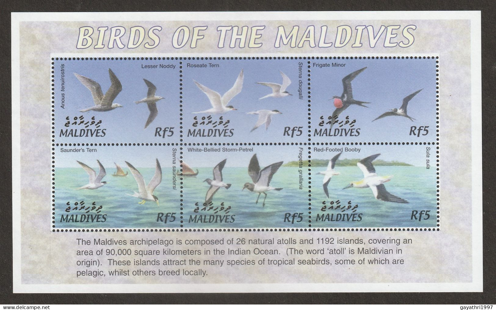 Maldives Birds Miniature Sheet Mint Good Condition (S-60) - Climbing Birds