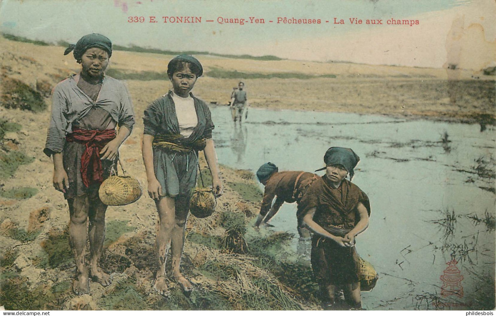 VIET-NAM  TONKIN  Quang-Yen  Pecheuses  " La Vie Aux Champs " - Vietnam