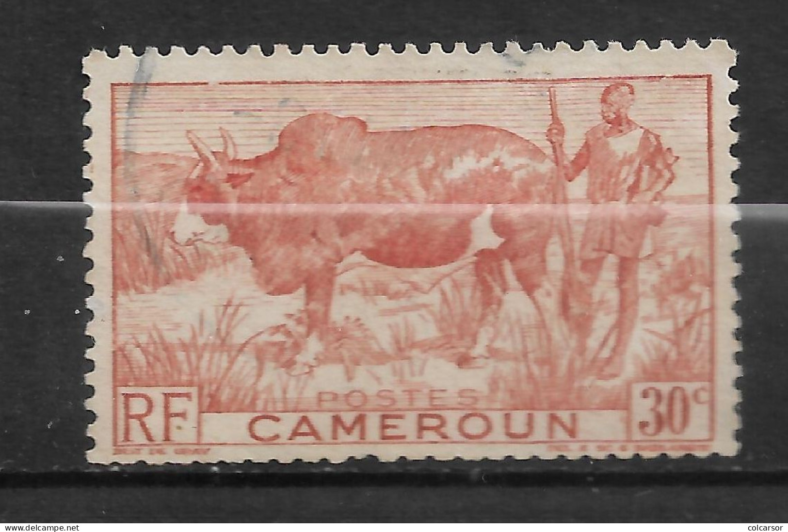 CAMEROUN N°277 - Usati