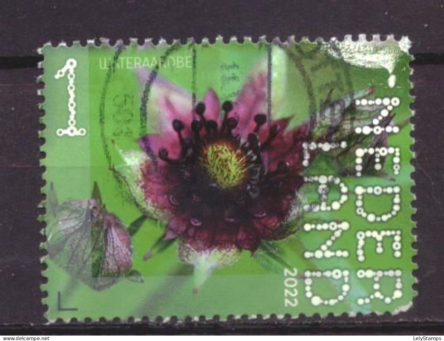 Nederland / Niederlande / Pays Bas / Netherlands 4007 Used Flower Nature (2022) - Gebraucht