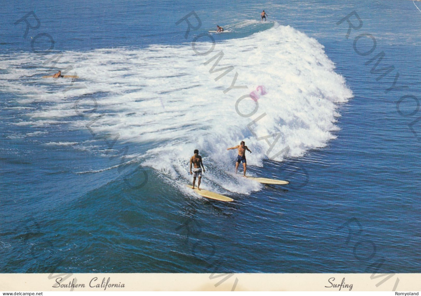 CARTOLINA  CALIFORNIA-SURFING IN SOUTHERN CALIFORNIA-VIAGGIATA 1980 - San Diego