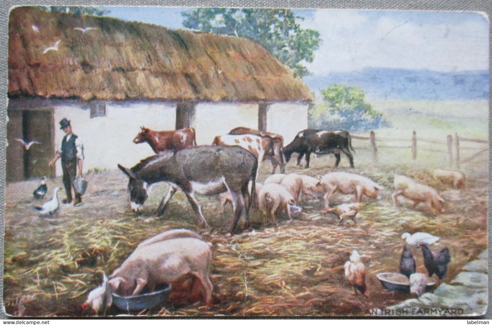 IRLAND UK UNITED KINGDOM IRISH FARMYARD AK CP PC KARTE CARD POSTKARTE POSTCARD ANSICHTSKARTE CARTOLINA CARTE POSTALE - Collezioni E Lotti