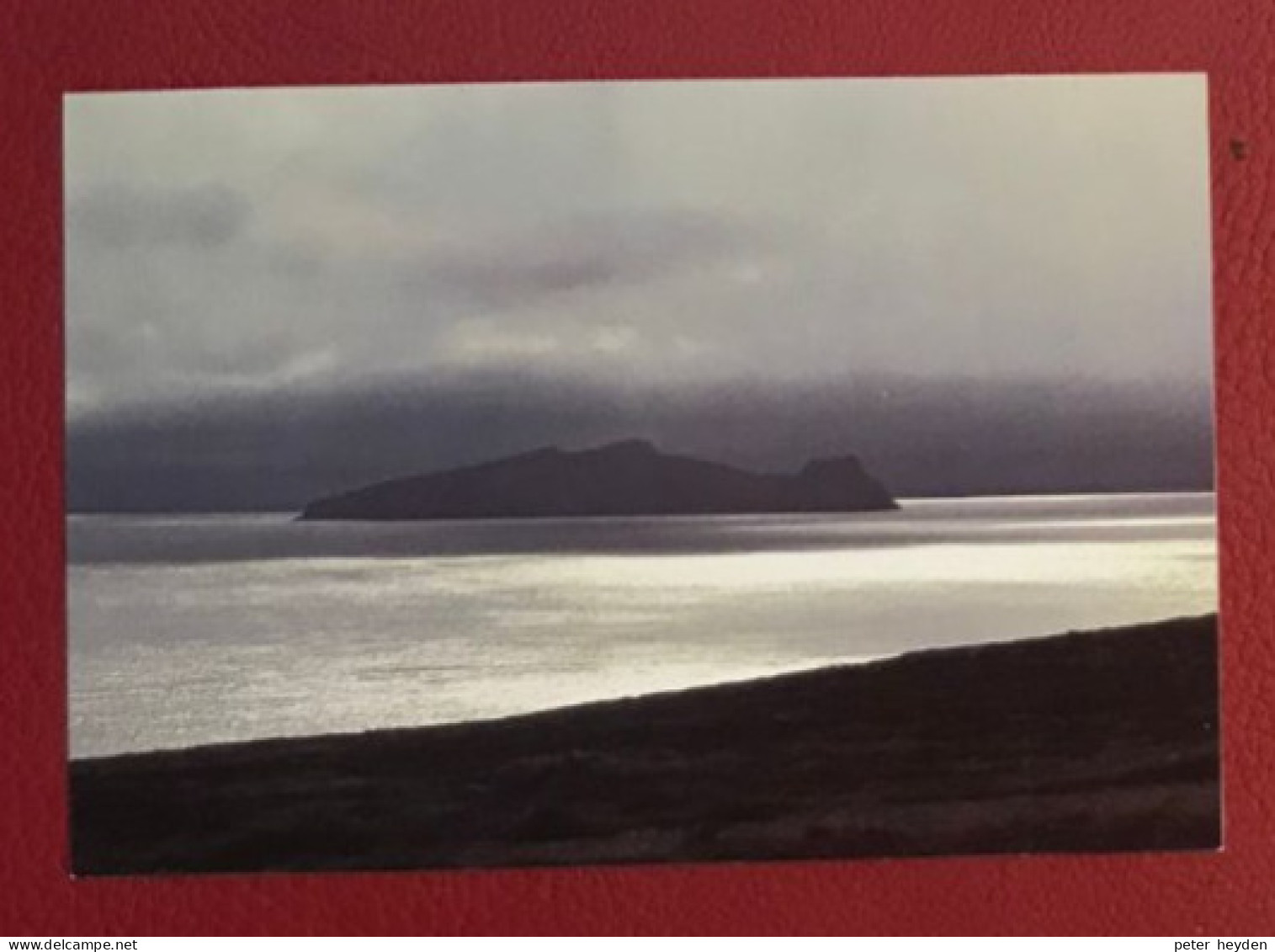 IRELAND 1987 Unused Postcard PP (30p) ~ MacDonnell Whyte PSPC59 ~ Oireachtas ~ An Marbhán - Postal Stationery