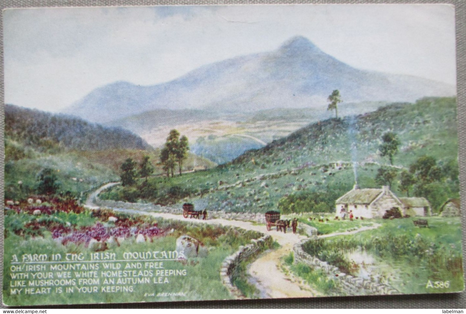 IRLAND UK UNITED KINGDOM IRISH FARM MOUNTAINS CP PC KARTE CARD POSTKARTE POSTCARD ANSICHTSKARTE CARTOLINA CARTE POSTALE - Collections & Lots