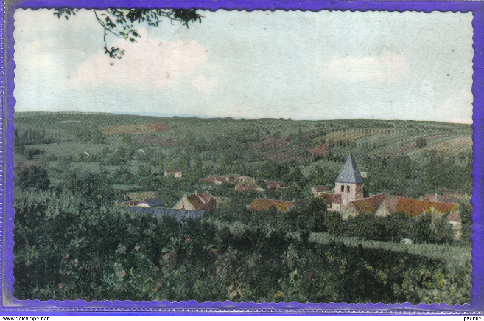 Carte Postale 18. Sury-en-Vaux  Très Beau Plan - Sury-près-Léré