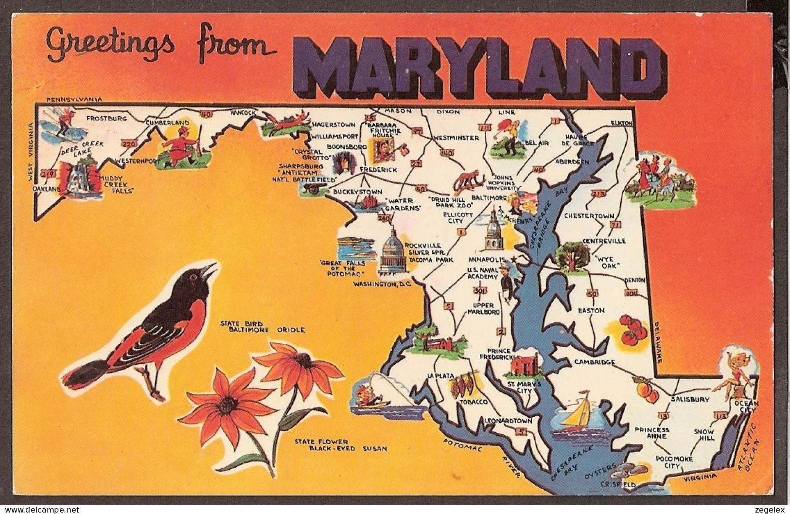 Maryland Map - State Bird Baltimore Oriole, Flower: Black Eyed Susan, Golf - Sonstige & Ohne Zuordnung