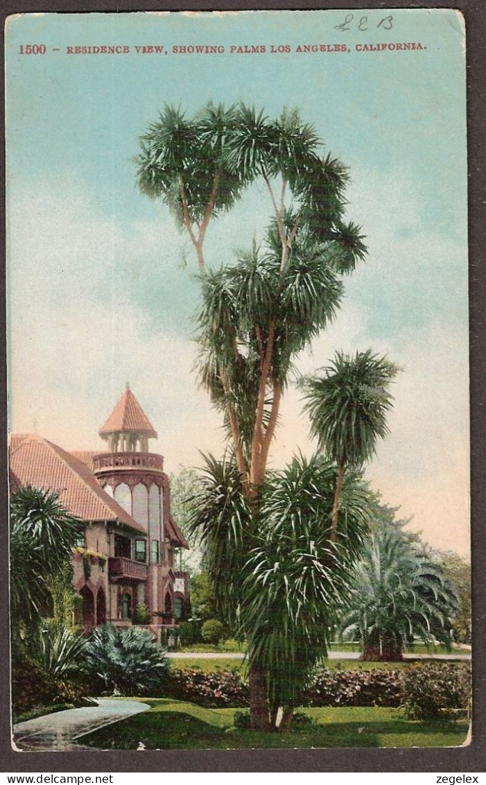 California - Los Angeles - Residence View Showing Palms - Los Angeles