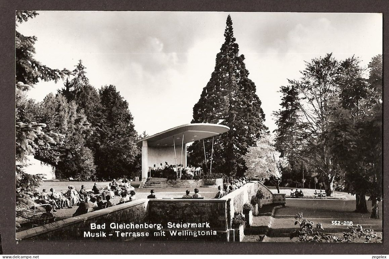 Bad Gleichenberg - Steiermark, Musik - Terrasse Mit Wellingtonia - Lebhaft - 1959  - Bad Gleichenberg