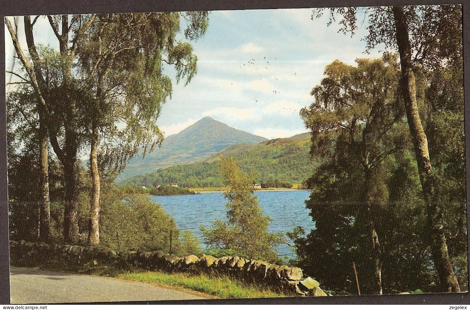 Loch Rannoch - Schiehallon Through The Birches - Canceled In Pitlochry - Perthshire - Perthshire