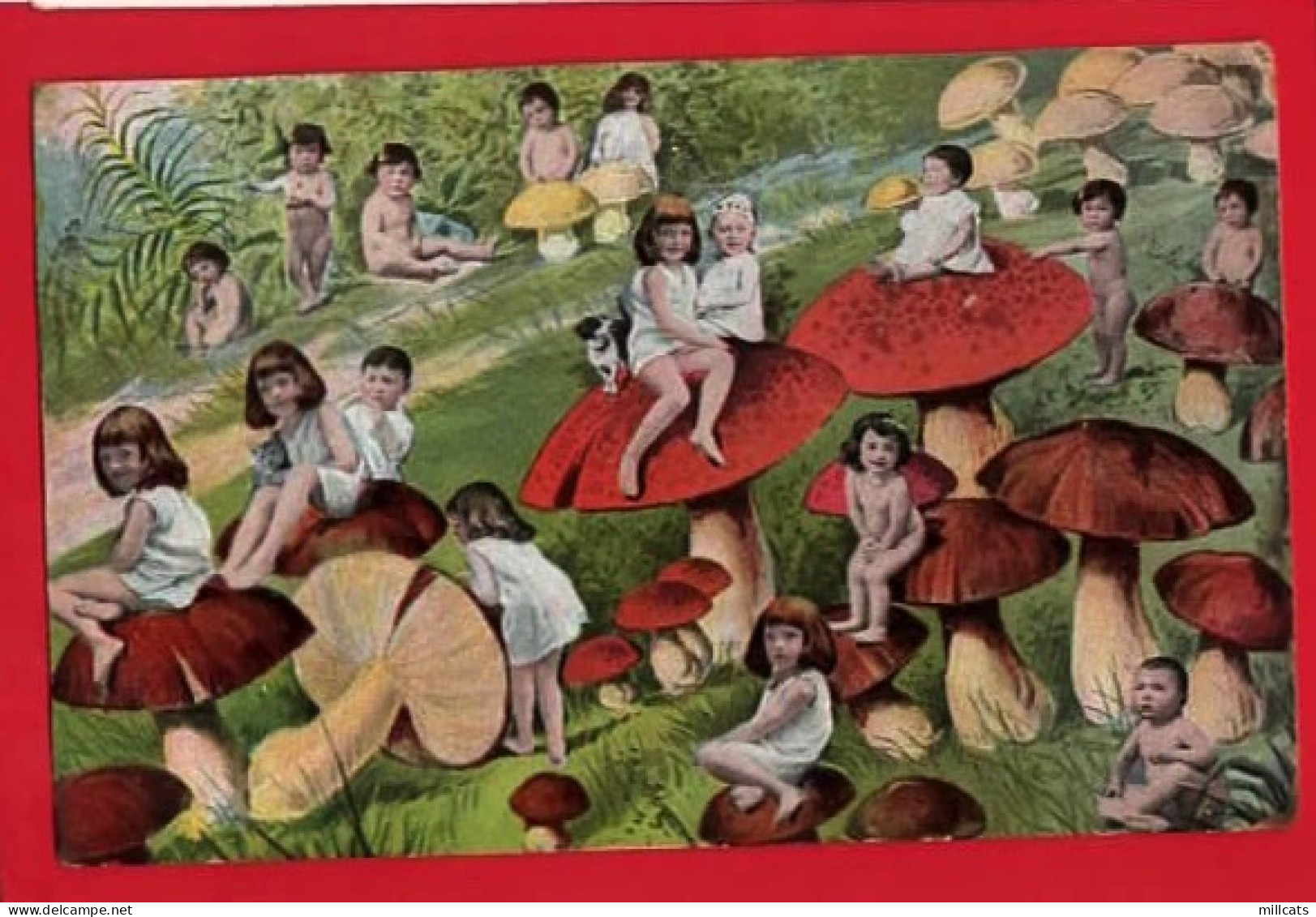 FANTASY CHILDREN ON TOADSTOOLS MUSHROOMS FUNGHI   Pu 1904 - Mushrooms