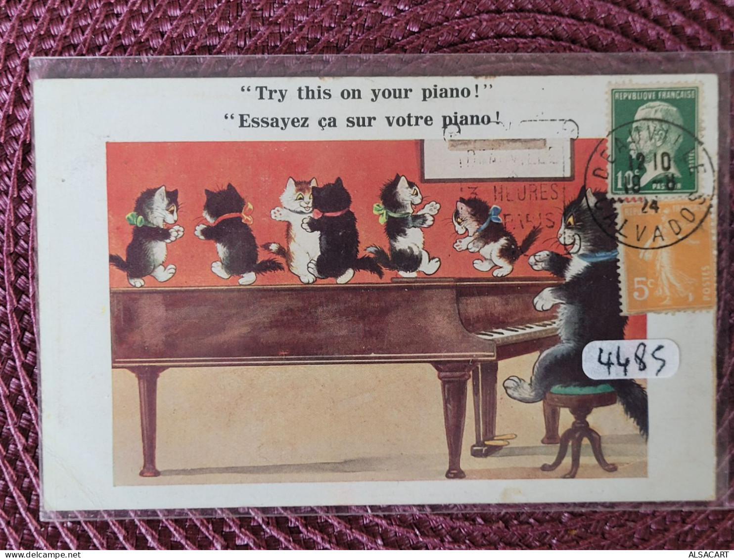 Essayez ça Chez Vous , Chats Qui Dansent Sur Un Piano - Cats