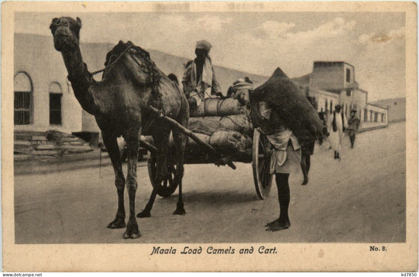 Maala Load Camels And Cart - Aden - Jemen