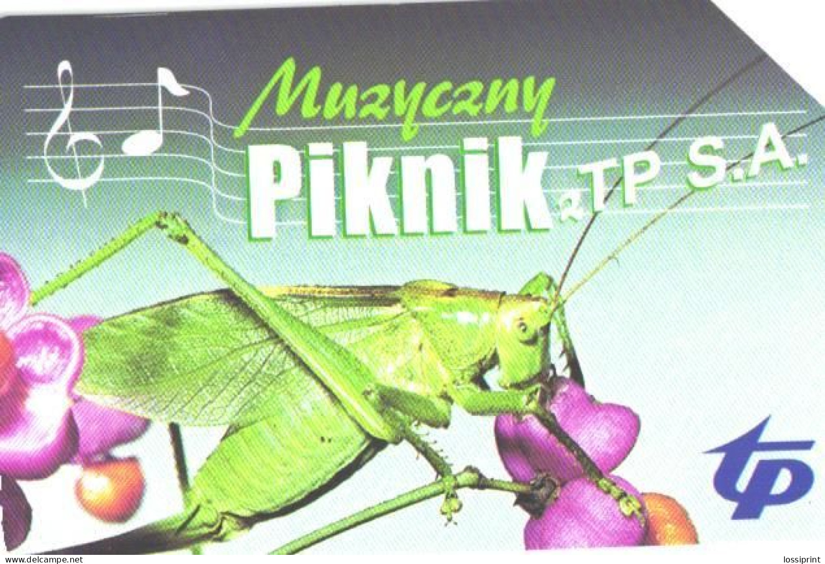 Poland:Used Phonecard, Telekomunikacja Polska S.A., 100 Units, Music Picnic, Grasshopper - Poland