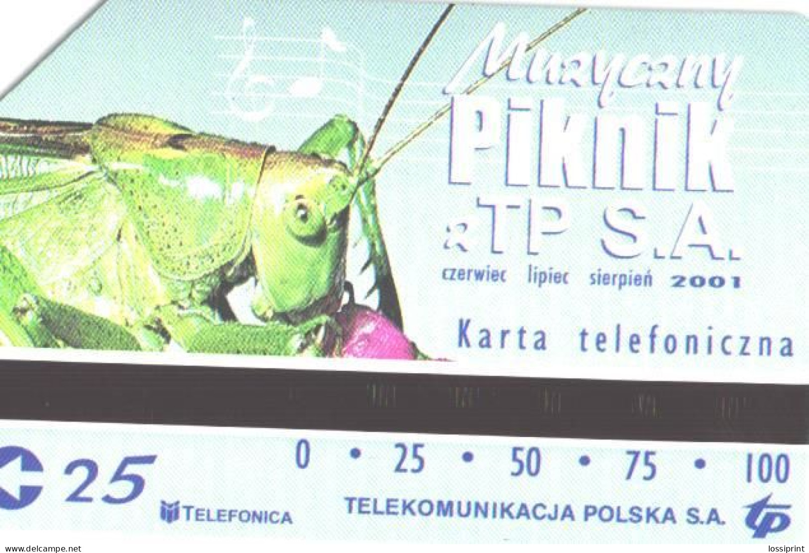 Poland:Used Phonecard, Telekomunikacja Polska S.A., 100 Units, Music Picnic, Grasshopper - Polonia