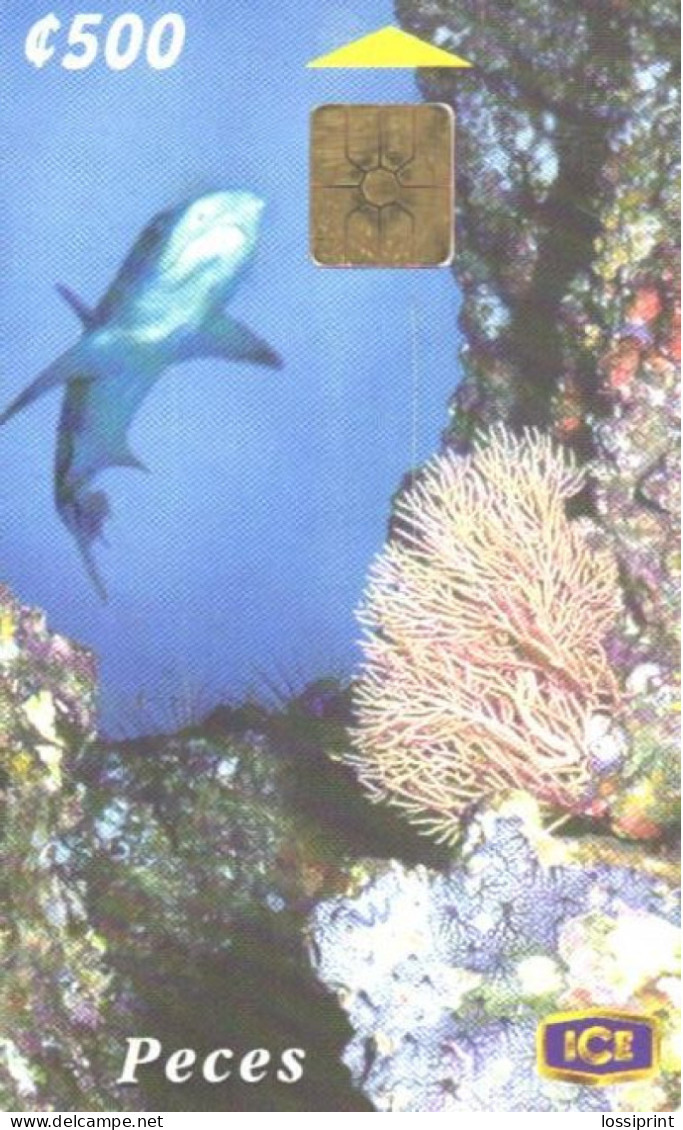 Costa Rica:Used Phonecard, ICE, 500 C, Sharks And Coral, 2000 - Costa Rica