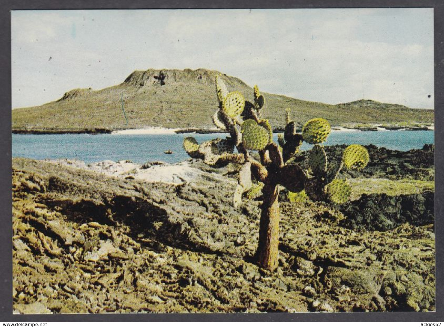 127621/ GALAPAGOS, Bainbridge Rocks, Volcano Sombrero Chino - Ecuador