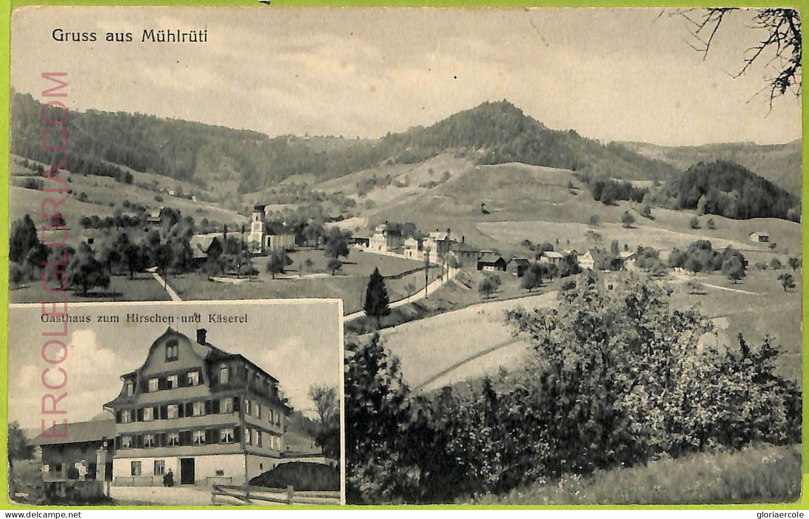 Ad4806 - SWITZERLAND Schweitz - Ansichtskarten VINTAGE POSTCARD - Muhlruti - Rüti