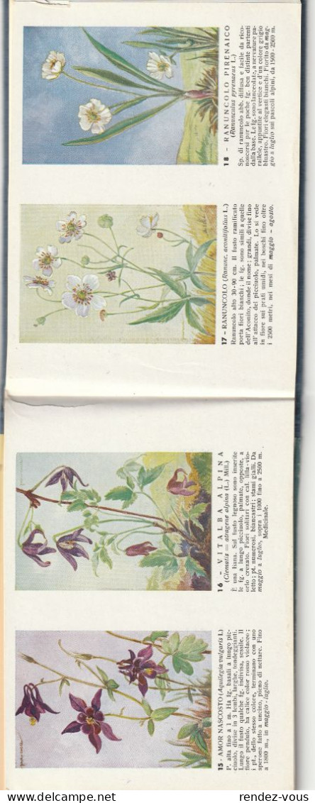 L.  -  Fiori Delle Alpi  Del Prof. Italo Gretter  -  Illustr. Pero Coelli  A Cura Della Soc. Alpinisti Tridentini - Other & Unclassified