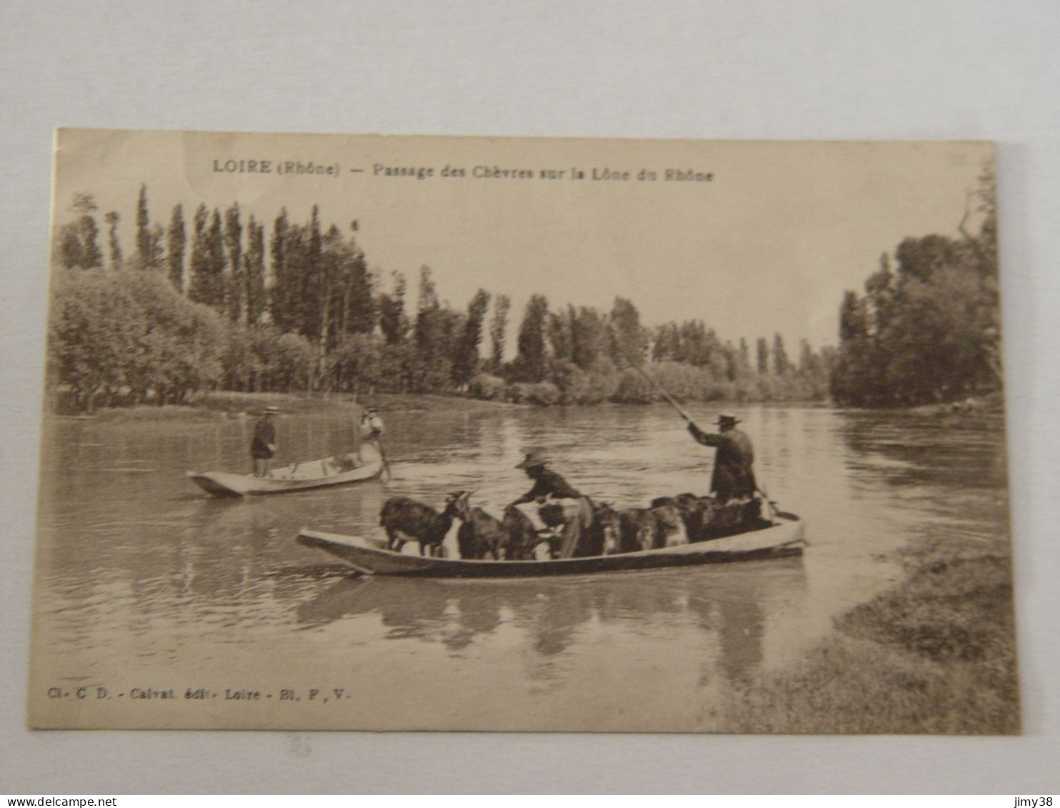 RHONE-LOIRE-PASSAGE DES CHEVRES SUR LA LONE DU RHONE ANIMEE - Loire Sur Rhone