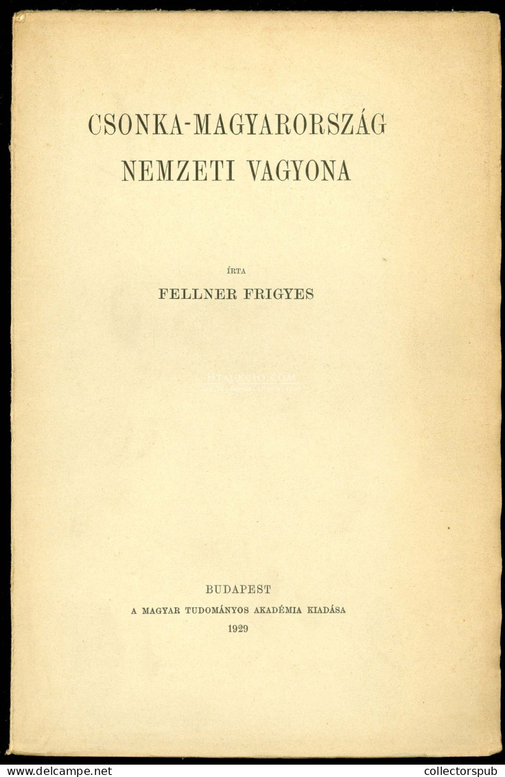 Fellner Frigyes: Csonka-Magyarország Nemzeti Jövedelme.Budapest, 1930. MTA [Franklin]. 107 - Livres Anciens