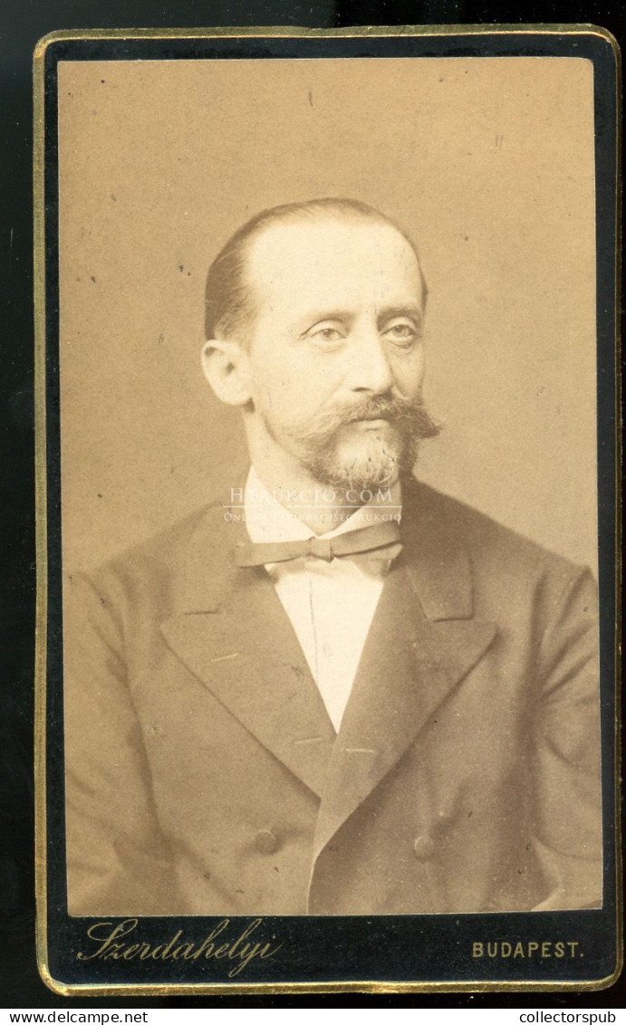 BUDAPEST 1880. Ca. Szerdahelyi : Barvits Albin, Miniszteri Tanácsos, Közlekedési Szakember Visit Fotó - Alte (vor 1900)